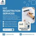Best LLC Registration Support In Texas