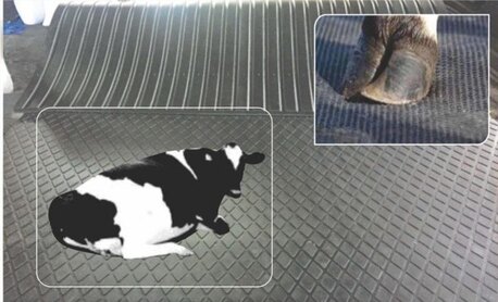 Noida, Pet Sitting, Buy A Cow Rubber Mat Online In India From Vansun Milking