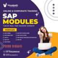 Professional SAP Training Aligned With Enterprise Needs