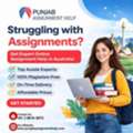 Punjab Assignment Help &ndash; Trusted Online Assignment Help Australia For Students