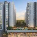INR 7000000,  Studio,  Buy 3 BHK Flats In Chatrapatti Sambhajinagar &ndash; The Solitairee