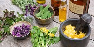 Birmingham, Health, Professional Bach Flower Practitioner Near Me United Kingdom &ndash; Healing Flower Life