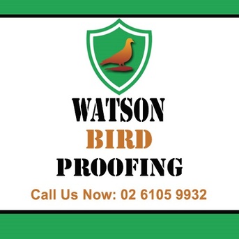 Sydney, Pest Control, Watson Bird Proofing