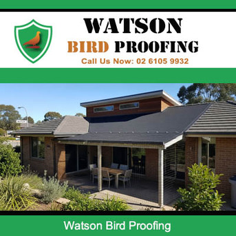 Sydney, Pest Control, Watson Bird Proofing