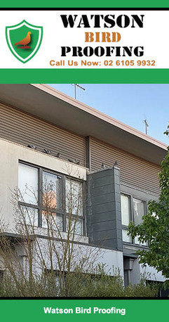 Sydney, Pest Control, Watson Bird Proofing