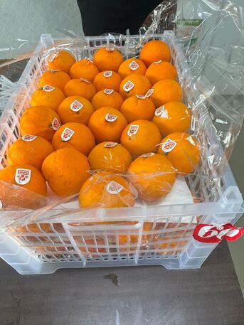 Dubai, Business Partners, Investor Opportunity &ndash; Online Wholesale Fruits & Vegetables Platform (UAE)