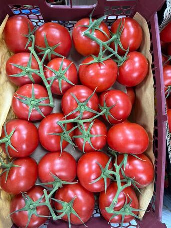 Dubai, Business Partners, Investor Opportunity &ndash; Online Wholesale Fruits & Vegetables Platform (UAE)