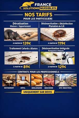 Paris, Pest Control, Entreprise De D?ratisation Professionnelle