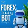 How Forex Bot Helps Busy Traders