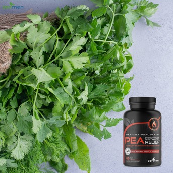 New York, Health & Beauty Items, USD 30,  Palmitoylethanolamide Capsules | Natural Pain & Nerve Support | ZenMen Health