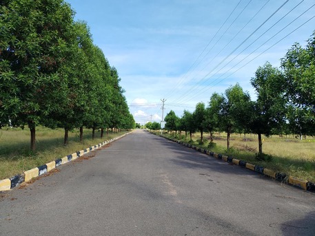 Hyderabad, Residential Plots, INR 12499,  333 Sq. Yard,  DTCP & RERA Approved Open Plots For Sale Near Future City Nandiwanaparthy, 9346347822