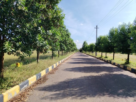 Hyderabad, Residential Plots, INR 12499,  333 Sq. Yard,  DTCP & RERA Approved Open Plots For Sale Near Future City Nandiwanaparthy, 9346347822