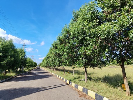 Hyderabad, Residential Plots, INR 12499,  183 Sq. Yard,  DTCP & RERA Approved Open Plots For Sale Near Future City Nandiwanaparthy, 9346347822