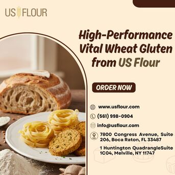 New York, Food, Get Consistent Protein And Performance From A Vital Wheat Gluten Supplier Like US Flour