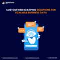 Custom Web Scraping Solutions For Scalable Business Data