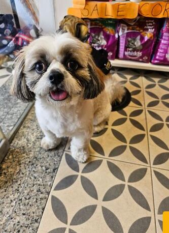 Noida, Pet Supplies, Pet Store Near Me