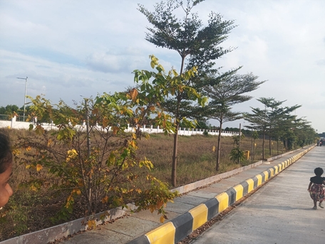 Hyderabad, Residential Plots, INR 28999,  230 Sq. Yard,  Secure Your Future With Vasudaika Henley Woods - 6305534817*