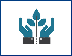 Doha, Financial, Investment Funds Are Available For Good Projects