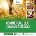 Midlands Grounds Maintenance &ndash; Professional Leaf Clearance