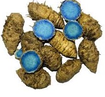 Mumbai, Wholesale Products, Black Turmeric Suppliers In India