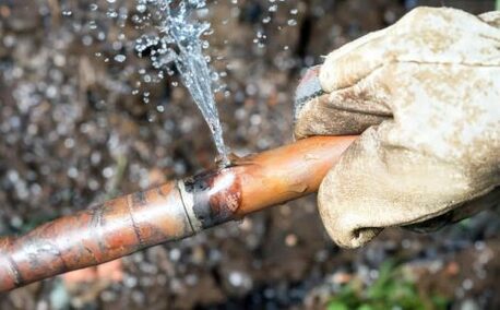 Sydney, Household, Initial Plumbing