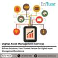 EnFuse Solutions: Your Trusted Partner For Digital Asset Management Excellence