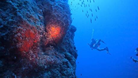 London, Travel, Jubilee Shoals Boat Dives In Cyprus | Pissouri Bay Divers