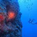 Jubilee Shoals Boat Dives In Cyprus | Pissouri Bay Divers