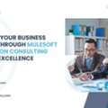 Empower Your Business Growth Through MuleSoft Integration Consulting Services Excellence