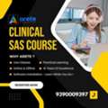 Clinical SAS Course - Live Online & Offline Training