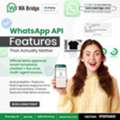 WhatsApp API For Business &ndash; Official Meta Partner | WA Bridge