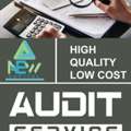 Audit Analysis