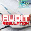 Audit Regulation