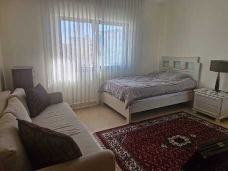 Amman, Apartments/Houses, JOD 20000/year,  Furnished,  3 BR,  241 Sq. Meter,  Furnished Apartment For Rent In Al Swafiyieh