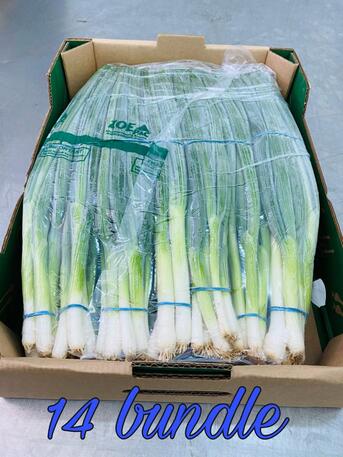 Cali, Farm & Garden, SPRING ONION