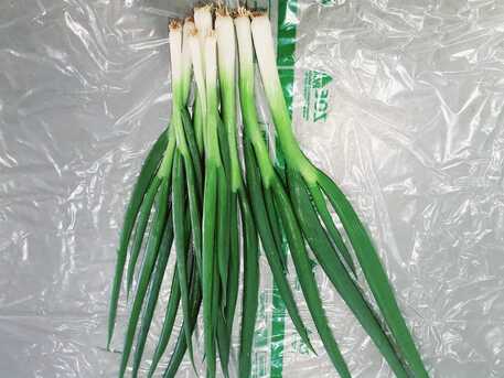 Cali, Farm & Garden, SPRING ONION
