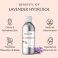 INR 199,  Lavender Hydrosol For Face, Hair & Aromatic Skincare | Raasa Oils