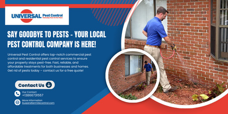 New York, Pest Control, Say Goodbye To Pests &ndash; Your Local Pest Control Company Is Here!