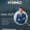 Sales Executive - Fitout