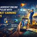 INR 100,  Why Laser247 Online Is Popular Among Cricket Earning Users