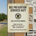 Trusted Bee Prevention Services Katy For Homes & Businesses