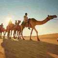 Explore Abu Dhabi Holidays Package: Cultural Landmarks, Open Spaces And Coastal Calm