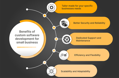 Lucknow, Software Development, Custom Software Development By MPIS Revolution Services