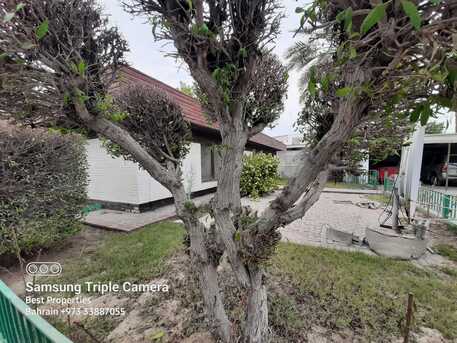 Budaiya, Apartments/Houses, BHD 400/month,  3 BR,  300 Sq. Meter,  BUDGET VILLA/ GARDEN /SEMI FURNISHED