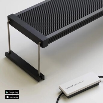 Lisbon, Pet Supplies, EUR 6,  Bluviva - Online Aquarium Store