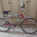 SAR 200,  Brand New Cycle For Sale.