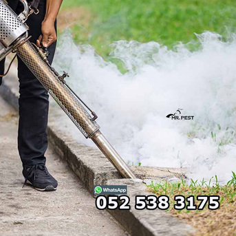 Dubai, Pest Control, Pest Control Services Near Me Dubai