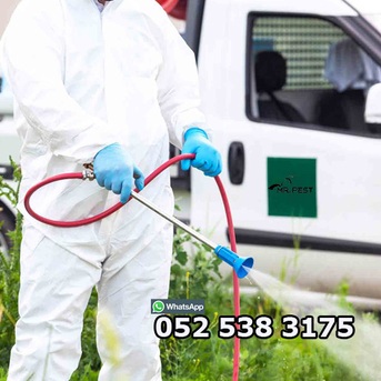 Dubai, Pest Control, Pest Control Services Near Me Dubai