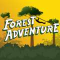 Forest Adventure