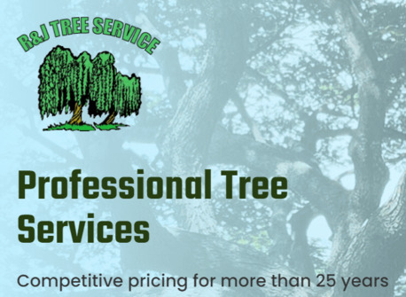 New York, Farm/Garden, Tree Trimming Services For Overgrown And Unsafe Branches &ndash; Call Now!